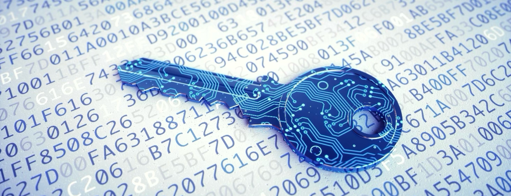 Digital key macro on encrypted data