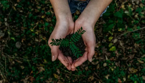 Sustainability Report Assurance