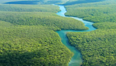 Bespoke Audit Protocols