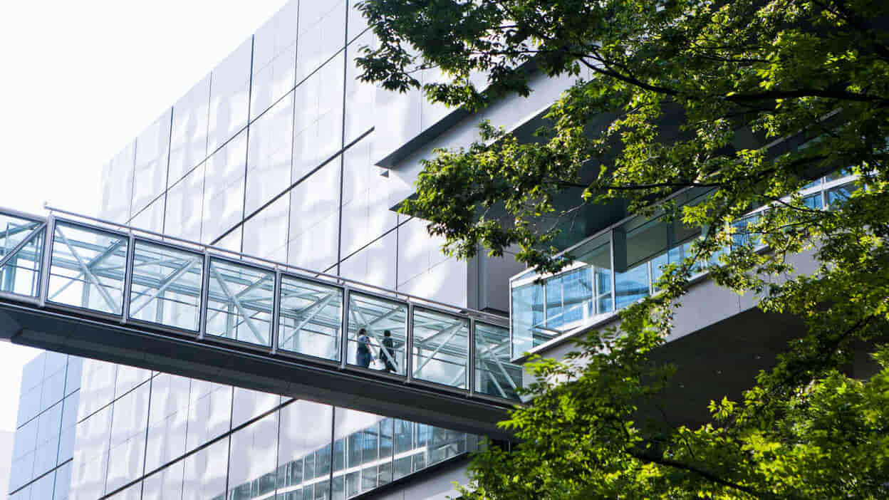 ISO 14001 Certification: Environmental Management System