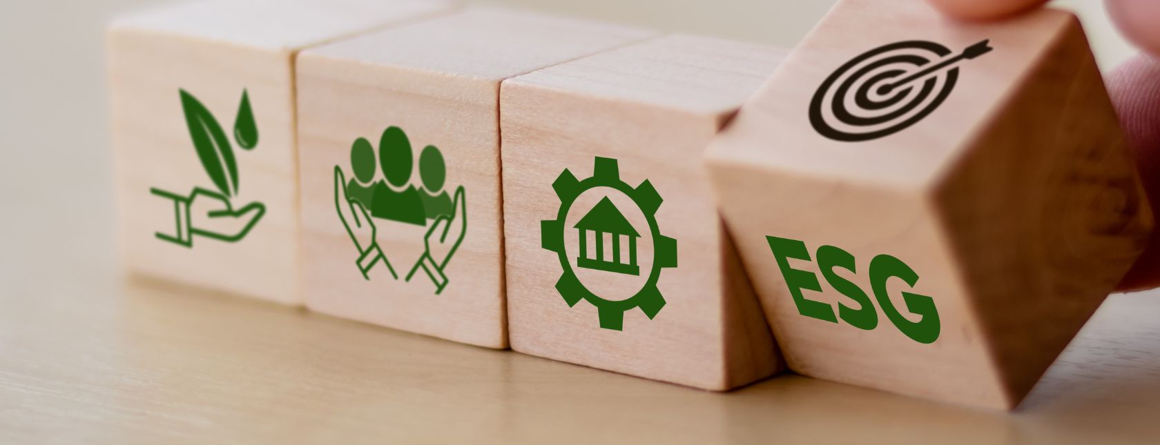 ESG & Management Systems Training