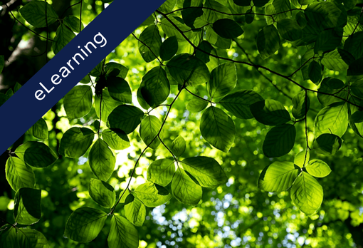 Environmental Management Systems (ISO 14001:2015) Awareness (eLearning)