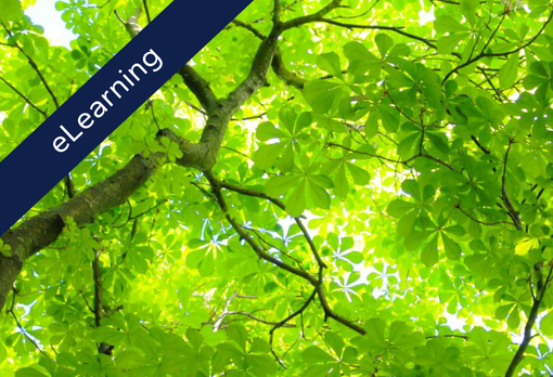 Environmental Management Systems (ISO 14001:2015) Induction Course (eLearning)