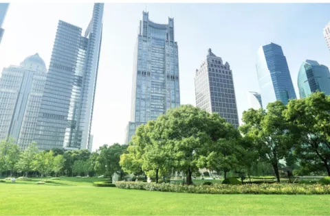 Environmental Management System Lead Auditor Training Course - ISO 14001