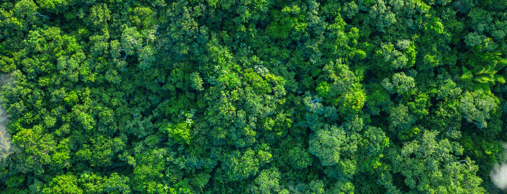 ISO 14001 Standard Revision