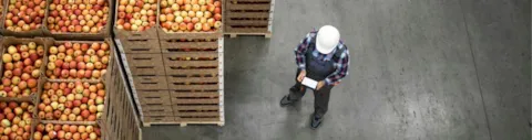 Top view of worker standing by apple fruit crates