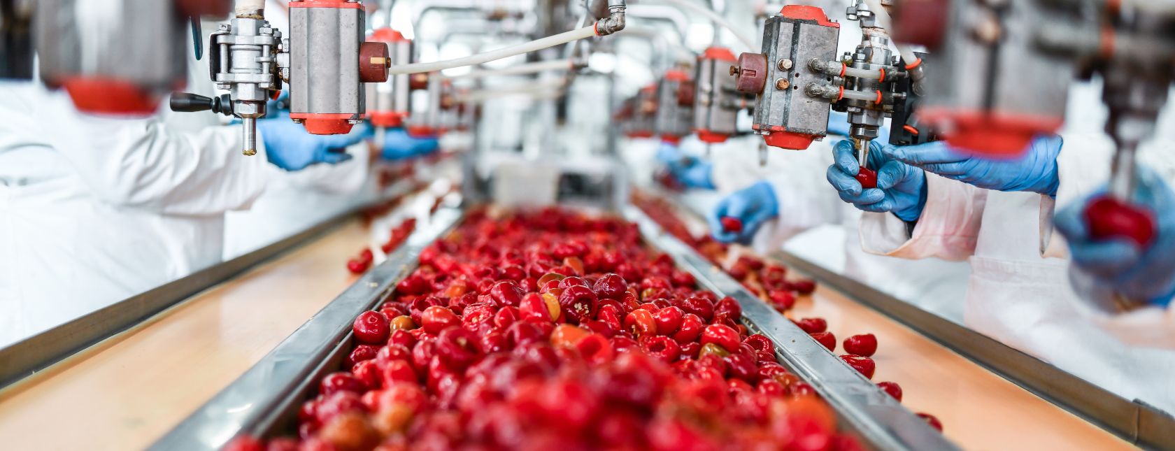 De-seeding of cherries in chia pudding factory
