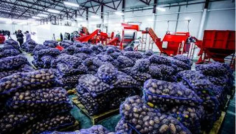 IFS Wholesale and Cash & Carry (C&C)