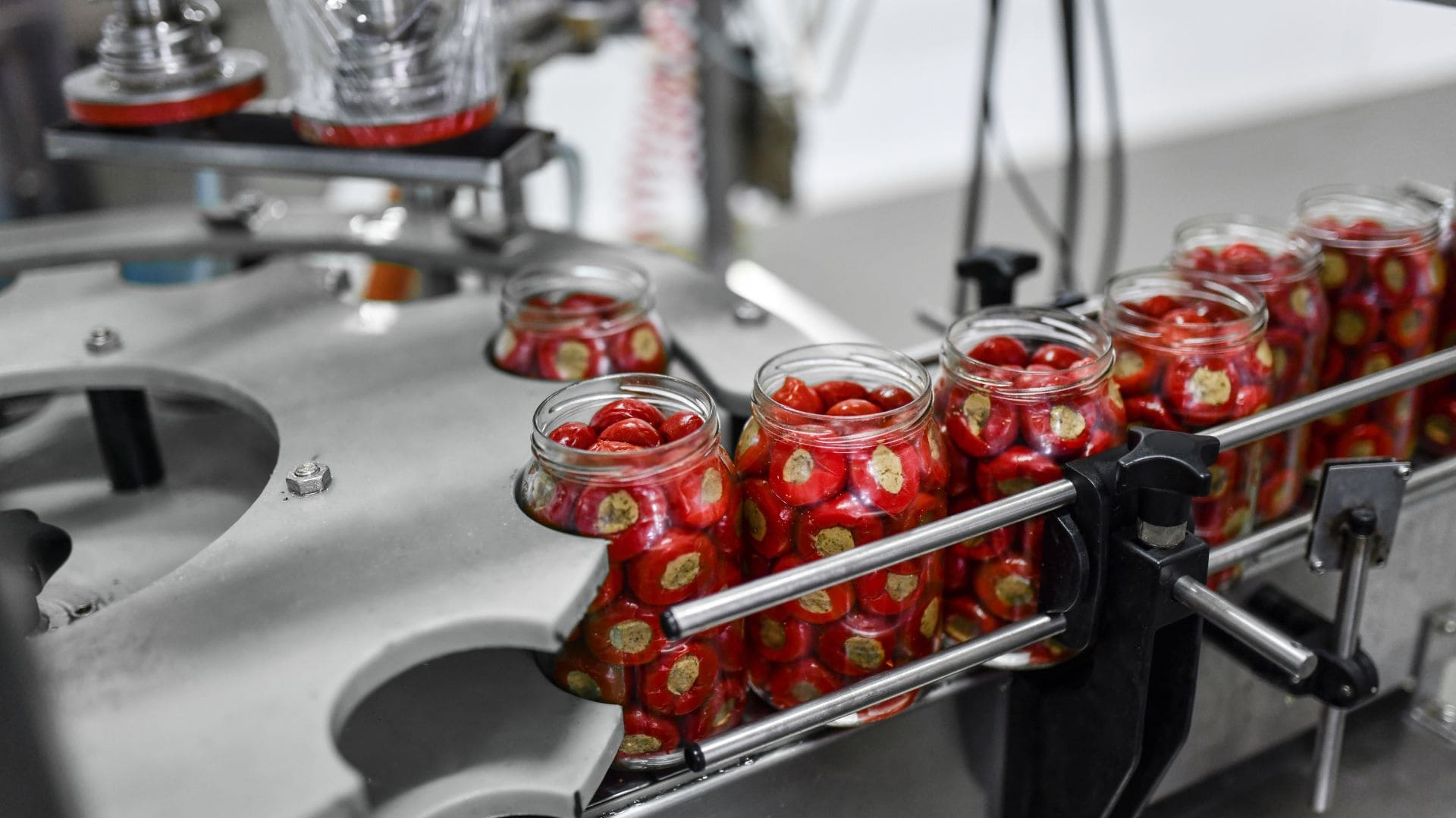 ISO 22000 Certification: Food Safety Management