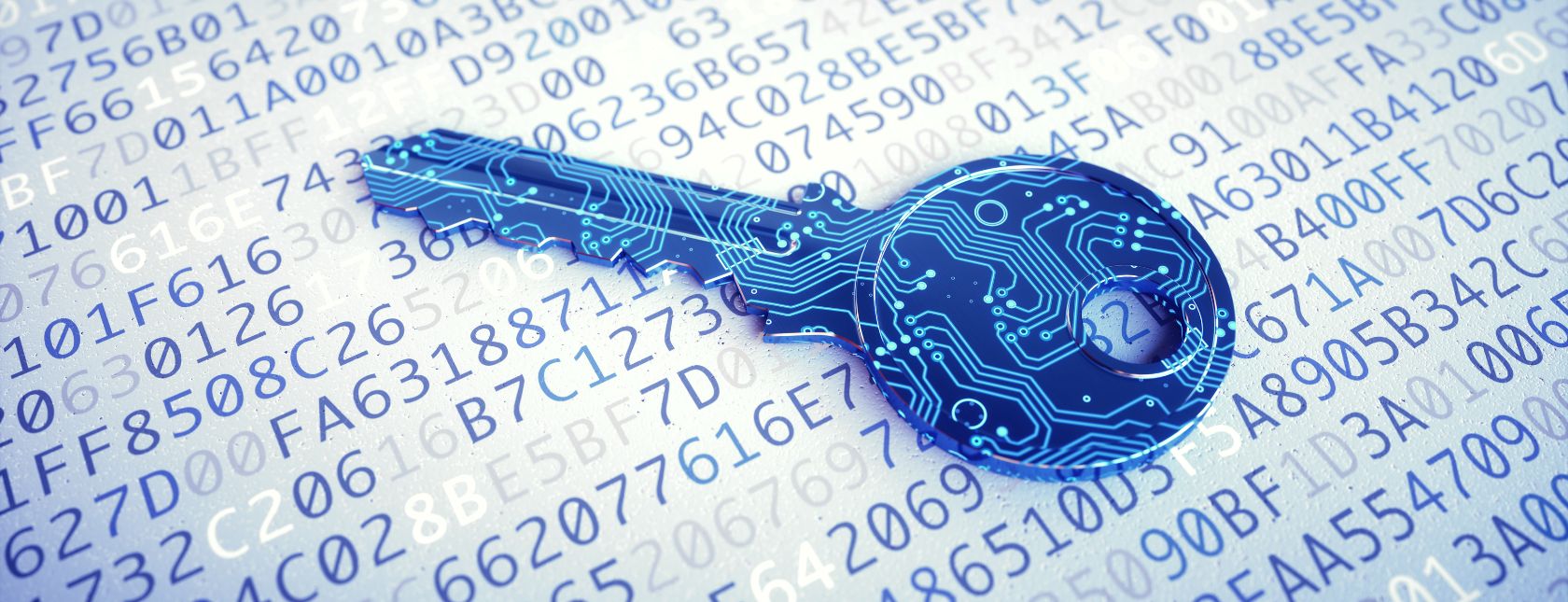 Cyber Defence Certification Programme