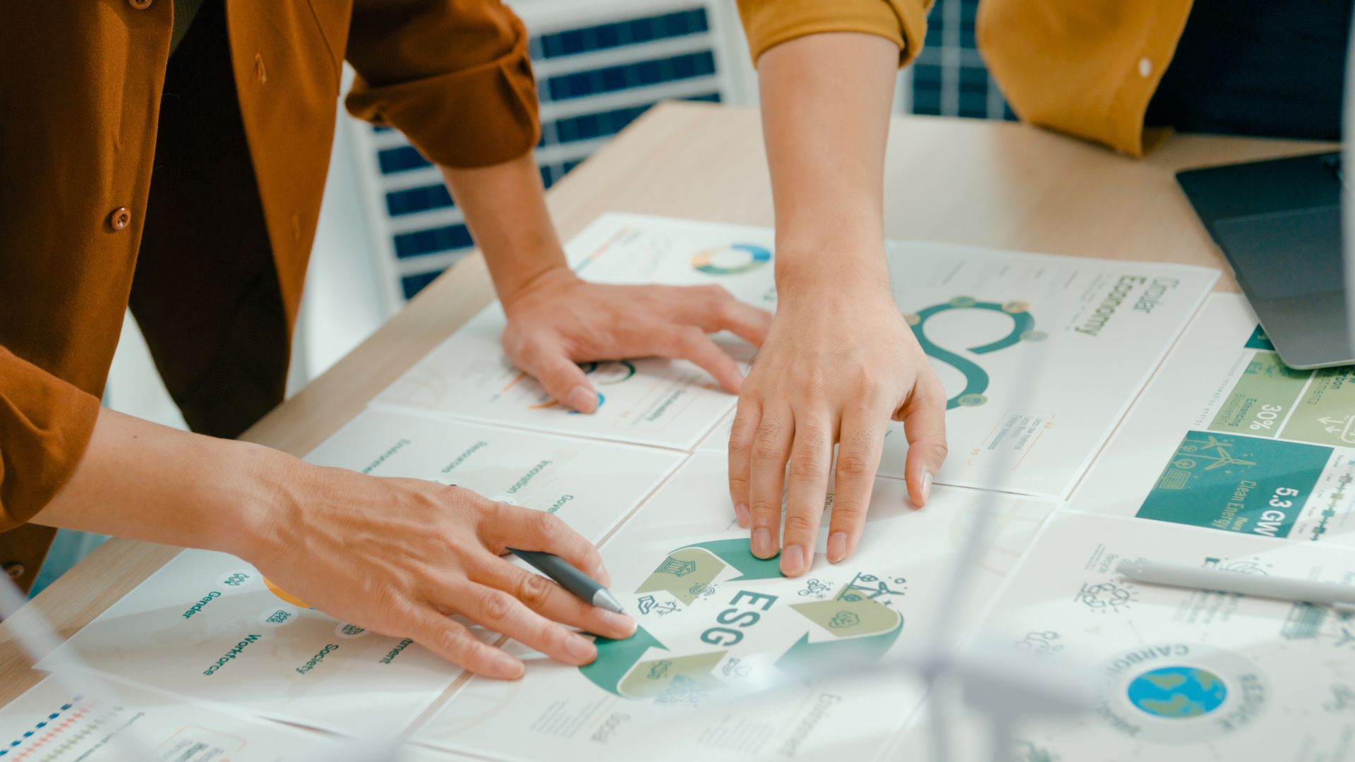 Eligibility, scope and use of the ESG Recognition