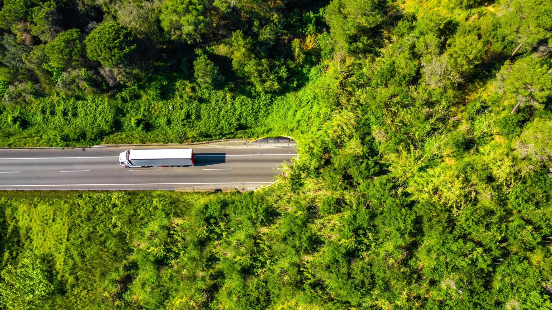 Green corridor with vegetation and a semi-truck