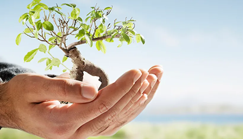 ESG & Sustainability Assurance services
