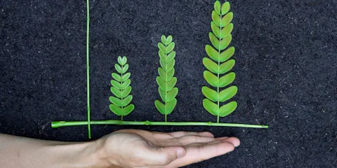 ESG Assurance