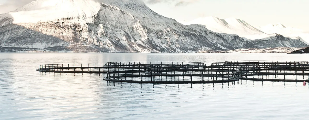 Fish Farm in North of Norway