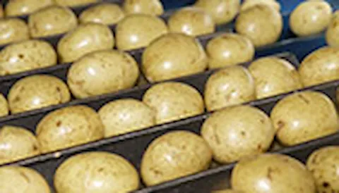 DNV STP non-Genetically Engineered ingredients