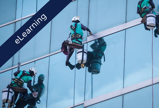 Occupational Health & Safety Management (ISO 45001:2018) System Induction (eLearning)