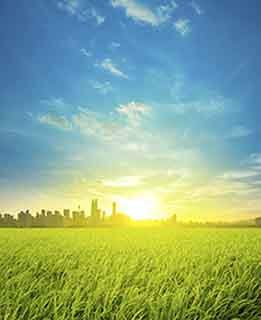 Coca-Cola launches CRS report