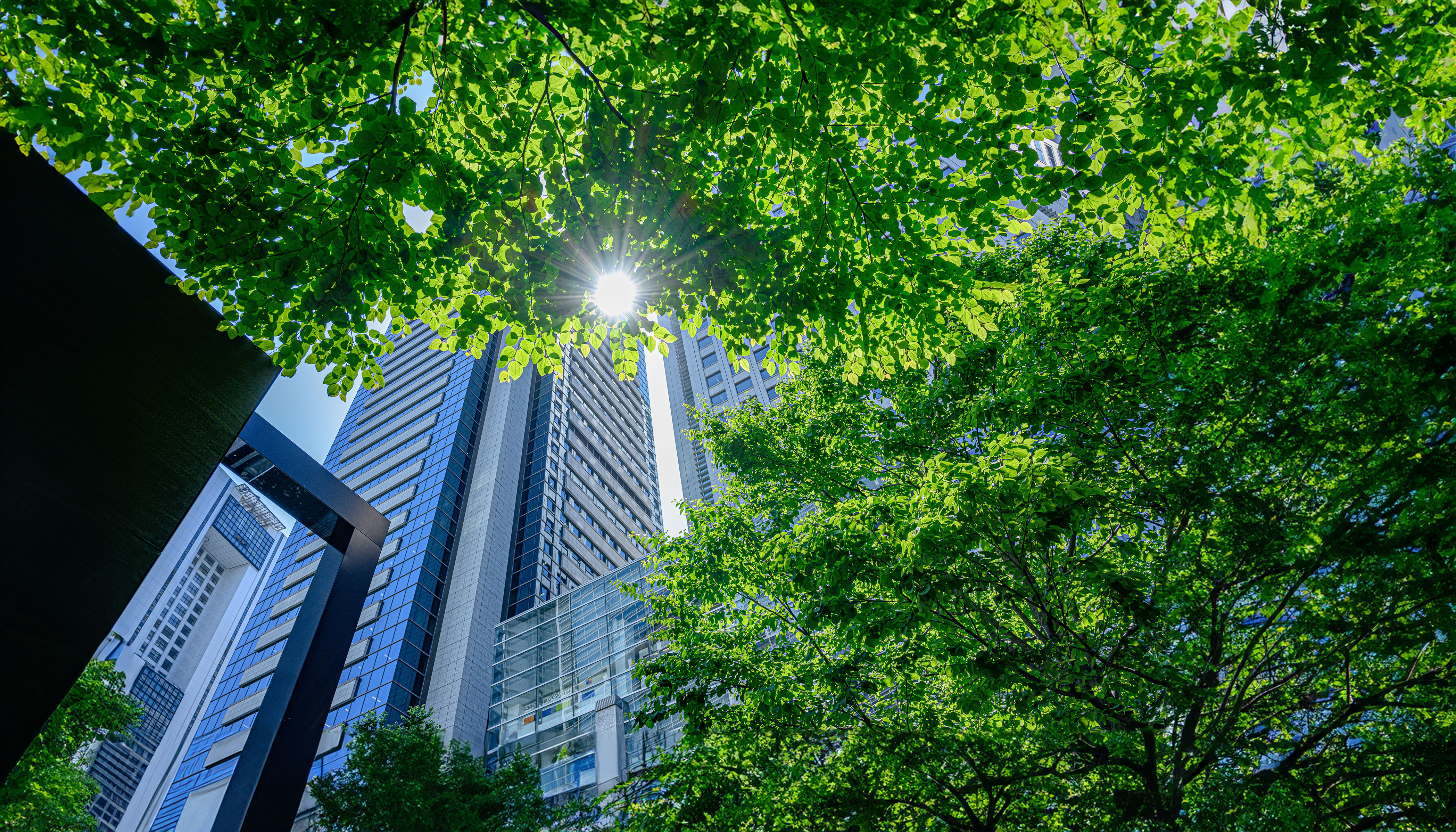 Sustainable Finance
