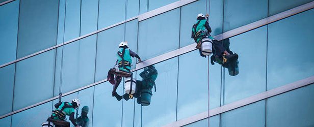 Occupational Health and Safety snapshot