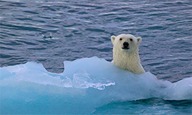 Climate Adaptation Services