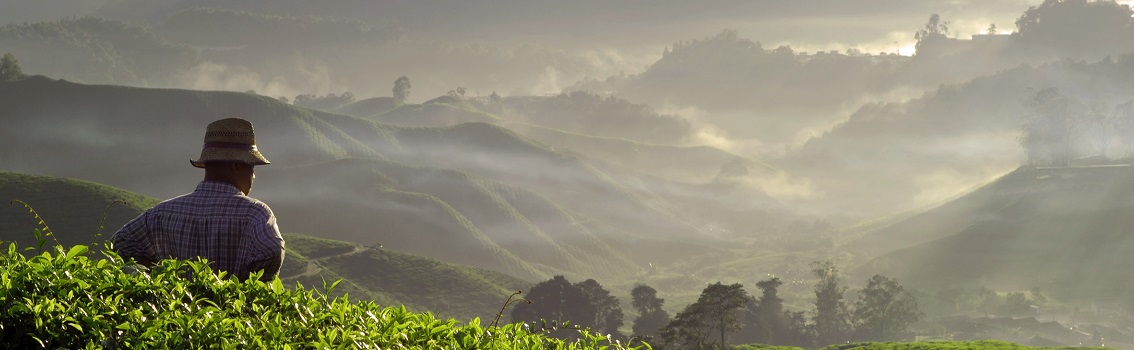 Research Review 2021