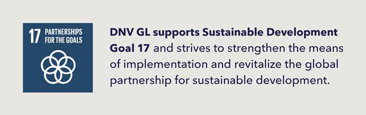 SDG 17
