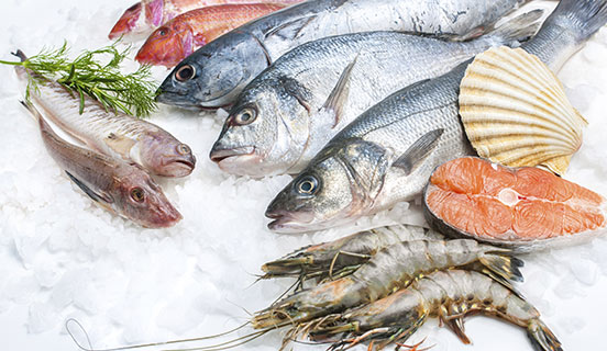 Seafood & aquaculture