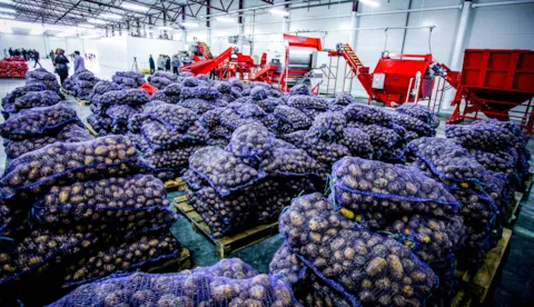 Supplier qualification during a crisis