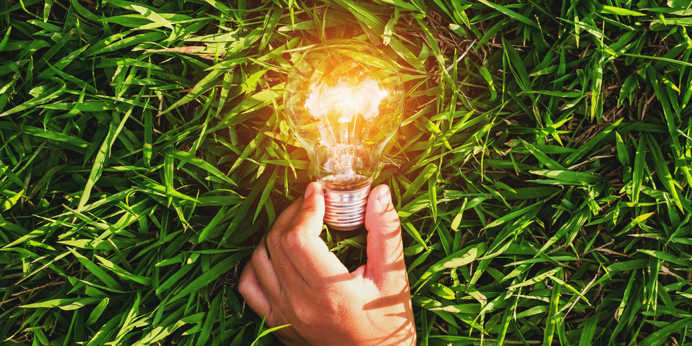 Sustainability Services