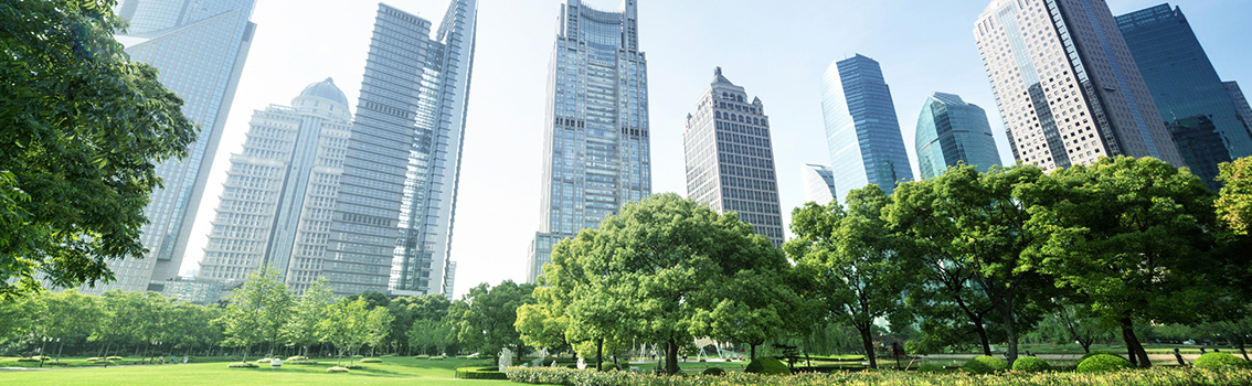 Sustainable Procurement