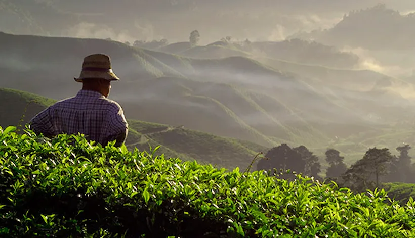 Sustainable sourcing