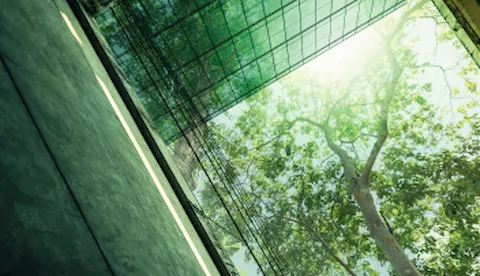Are companies committed to sustainability?