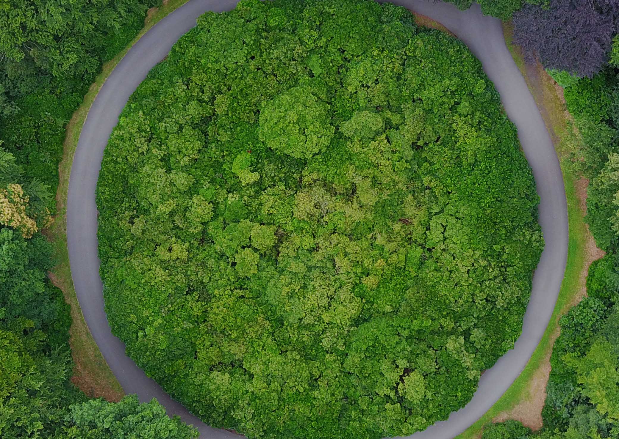 On-demand webinar: Are your circular economy business models geared for success?