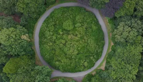 How are companies transitioning towards the circular economy